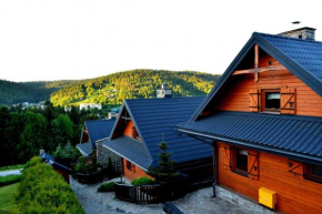 Alpejskie Domy Ski House Krynica